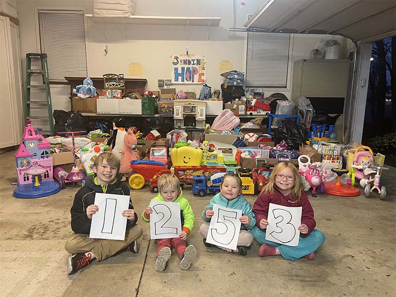 Gently Used Toy Collection